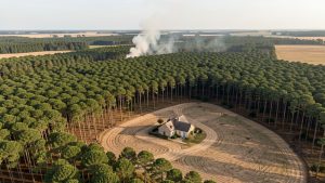 Vue aérienne réaliste d’une forêt de pins en Gironde, avec une maison isolée entourée d’abords débroussaillés et un panache de fumée visible au loin.
